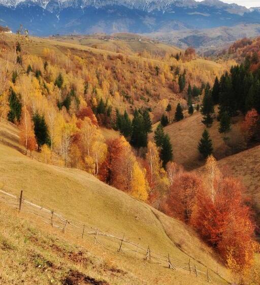 بنسيون Samedru