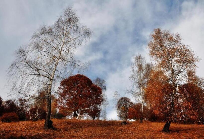 بنسيون Samedru