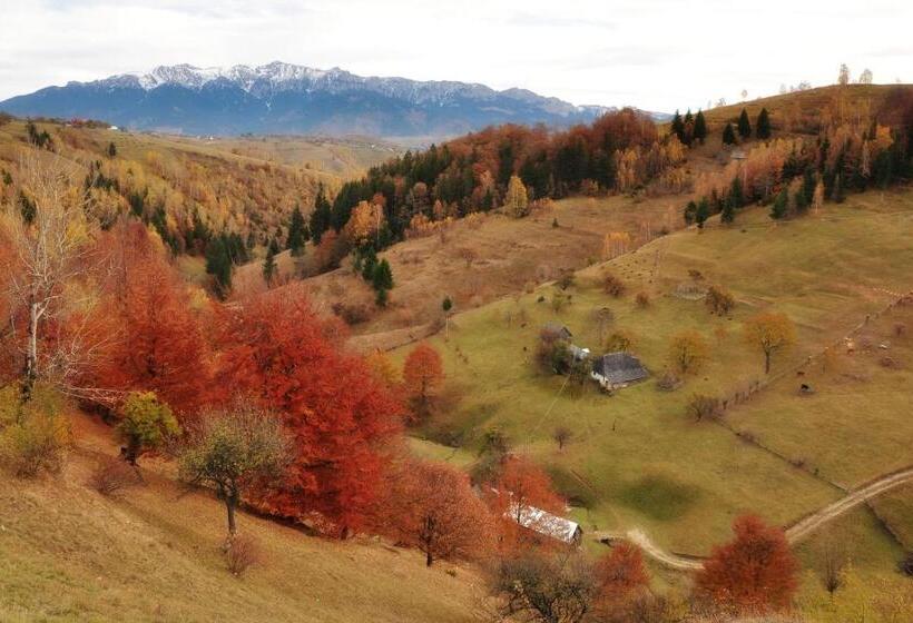 بنسيون Samedru