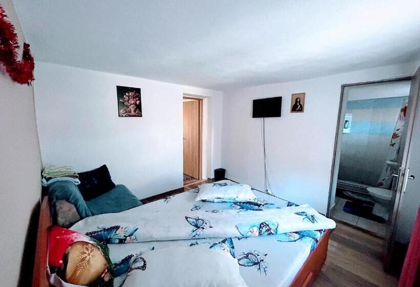 پانسیون Casa Andreea