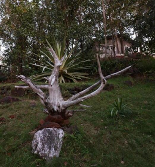 منتجع Sterling Nature Trails Dabhosa , Jawahar