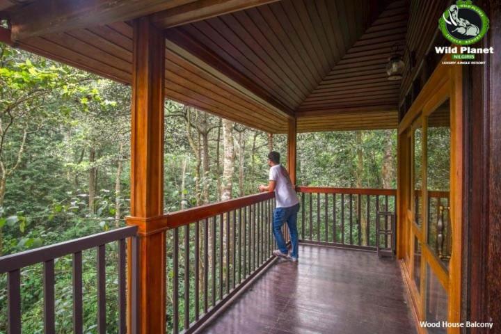 Wild Planet Jungle Resort
