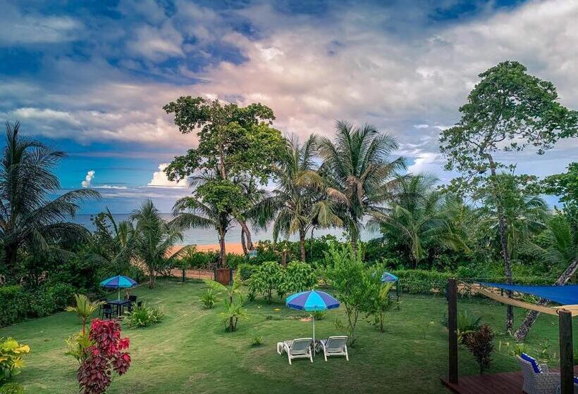 مبيت وإفطار Oasis Bluff Beach