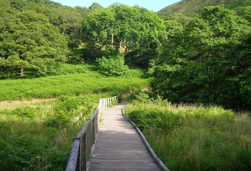 住宿加早餐  The Dolgoch