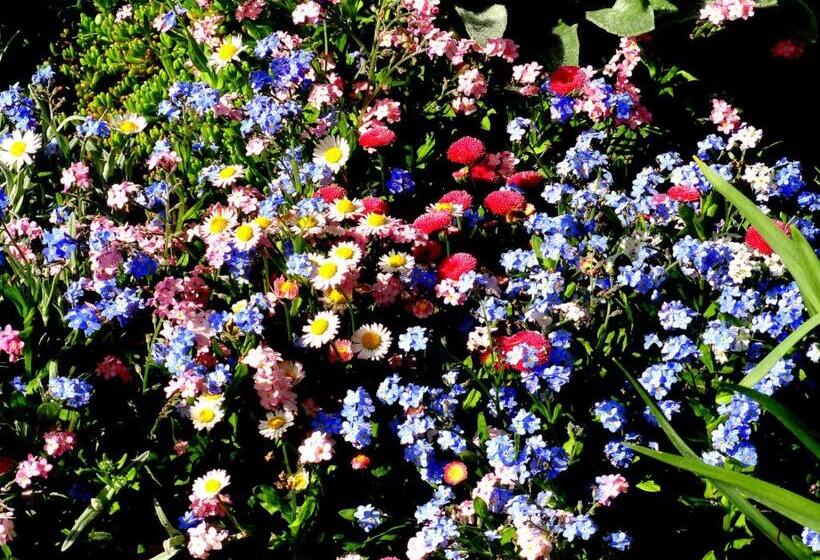 فندق Aleksievata Kashta