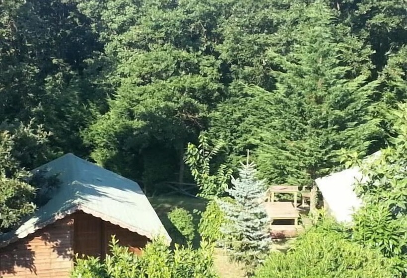 בית מלון כפרי Green House Garden Park