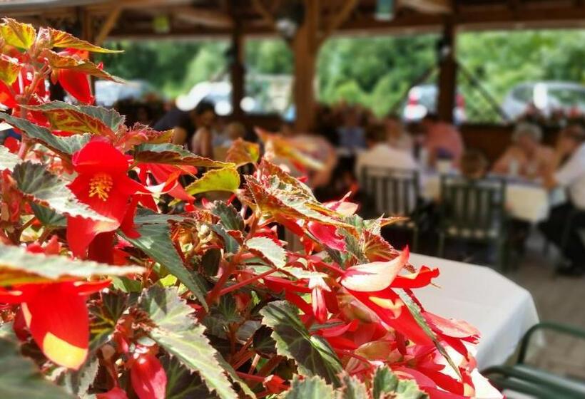 فندق Restaurant Fischerwirt