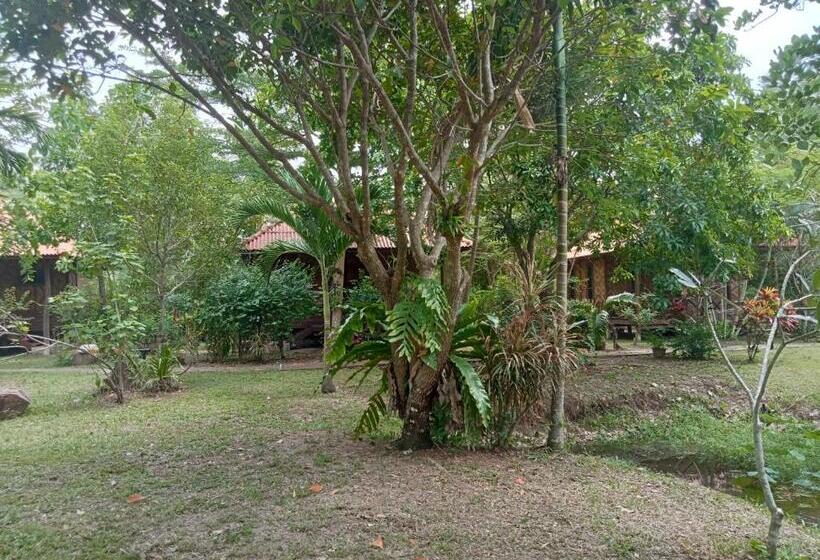 بنسيون Ban Ban Bangalow