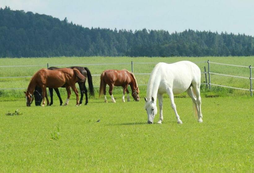 Пансион Landgasthof Zum Elsabauern