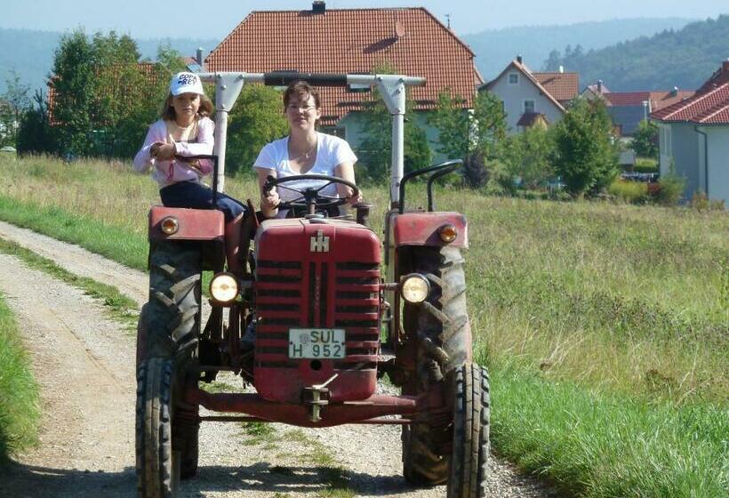 Пансион Landgasthof Zum Elsabauern