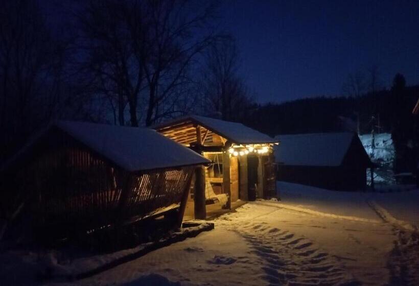 بنسيون Sadyba Sunny House