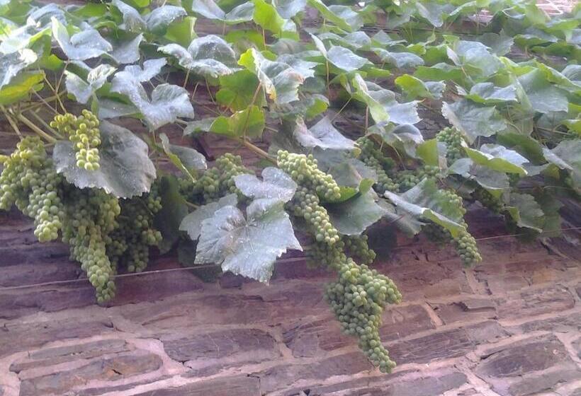 Пансион Weingut Gästehaus Karl Otto Nalbach