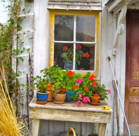 הוסטל Old Pioneer Garden Country Inn