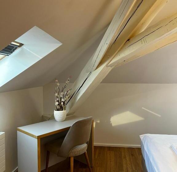 旅馆 Smartroom Hotel Rössli Hunzenschwil
