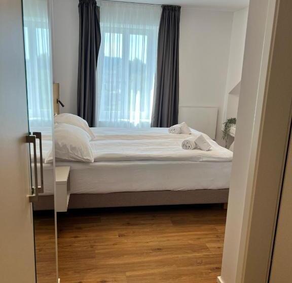 旅馆 Smartroom Hotel Rössli Hunzenschwil