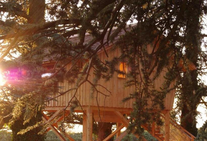 مبيت وإفطار Domaine Des Grands Cèdres