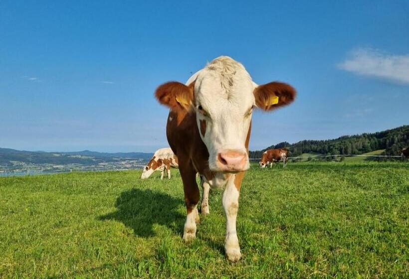 Bed and Breakfast Ferienwohnungen Schöbringer