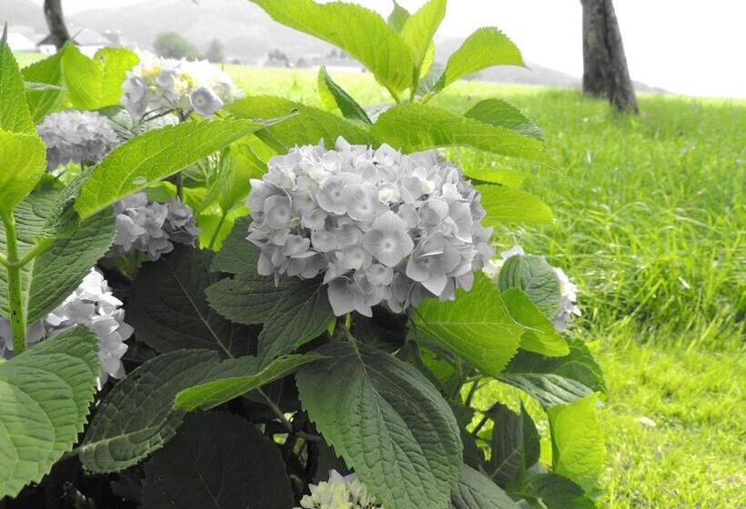 Bed and Breakfast Ferienwohnungen Schöbringer