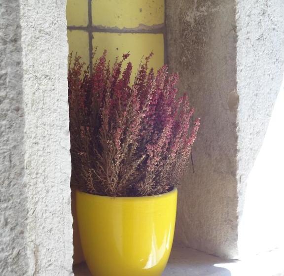 Bed And Breakfast Pa  Carrera