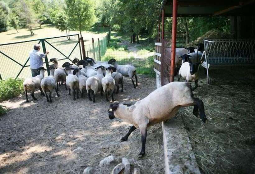 호텔 Agriturismo Il Castello