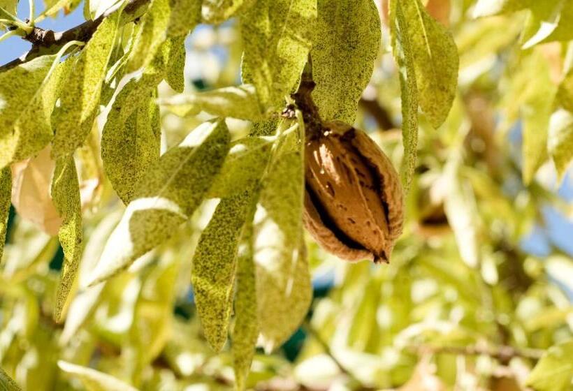 בית מלון כפרי Agunì Agriturismo E Locanda