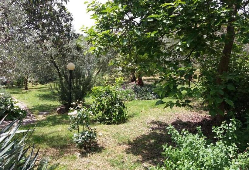 فندق B&b L Uliveto