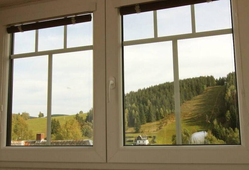 Отель Restaurant Svejk