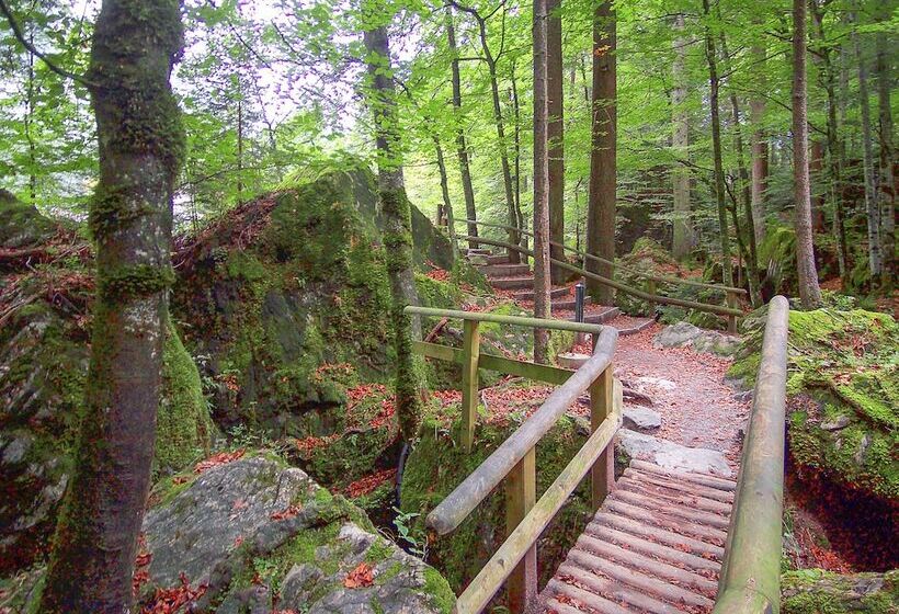 فندق & Spa Blausee