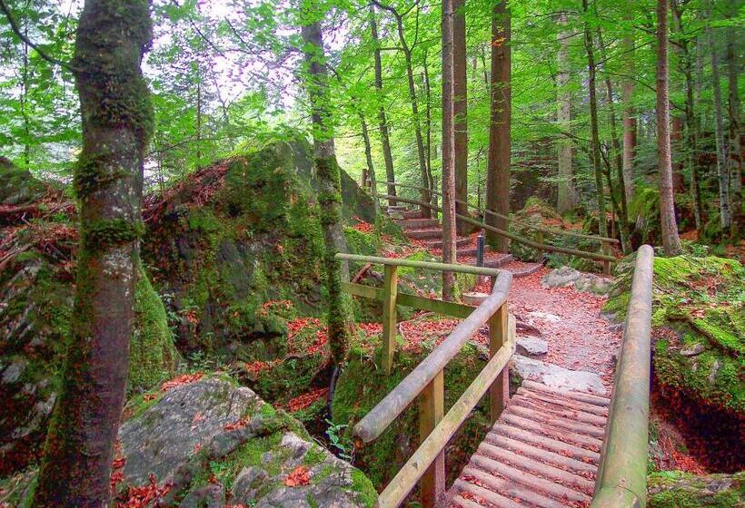 فندق & Spa Blausee