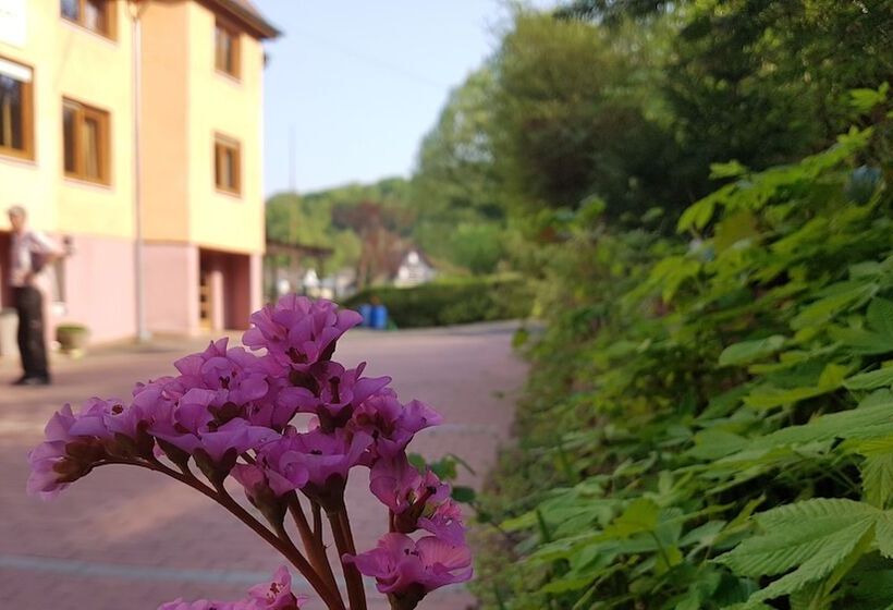 ホテル Zur Engelsburg