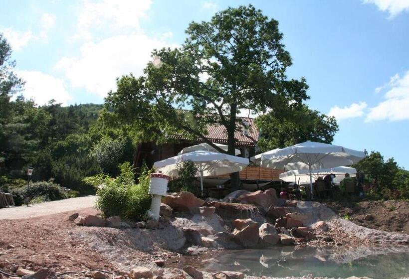 Kastanienhof Apartment