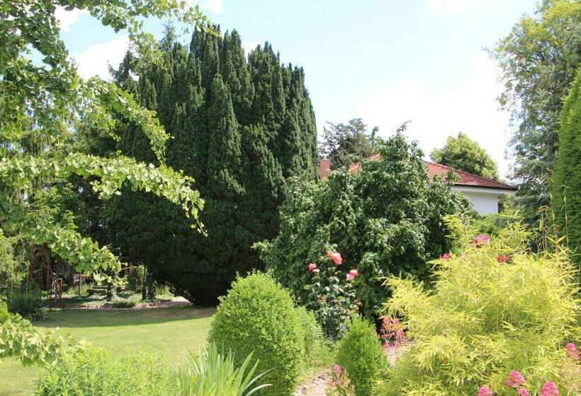 ペンション Bio Weingut, Gästehaus Und Kräuterhof