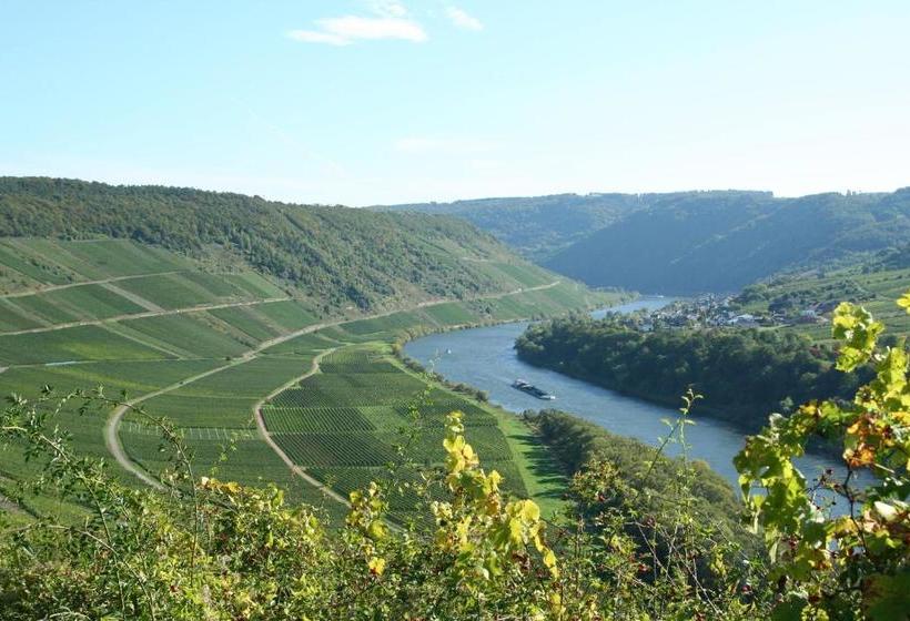 ペンション Ferienweingut Hensler