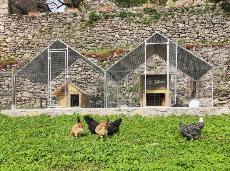 پانسیون Hostal Moliné