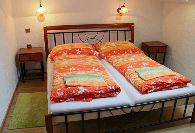 פנסיון Wellness Penzion Na Kamyncu