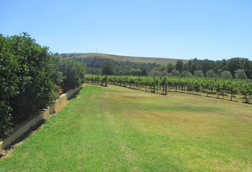 بنسيون Tranquil Vale Vineyard