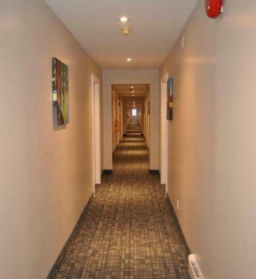 فندق صغير Arnold's Cove Inn