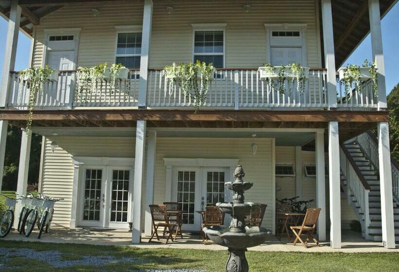 ユースホステル Haven Point Inn