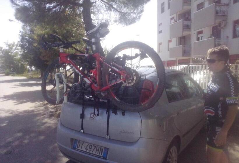 B&b Palatium S.g