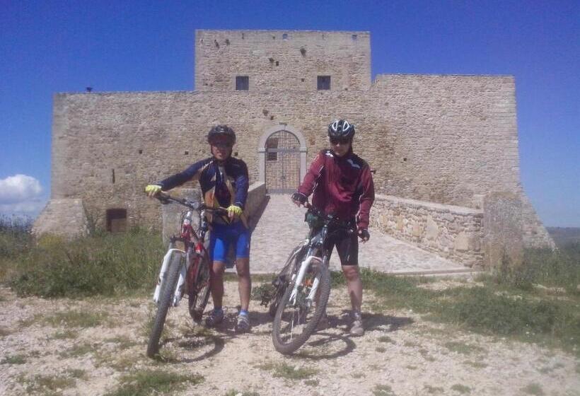 B&b Palatium S.g