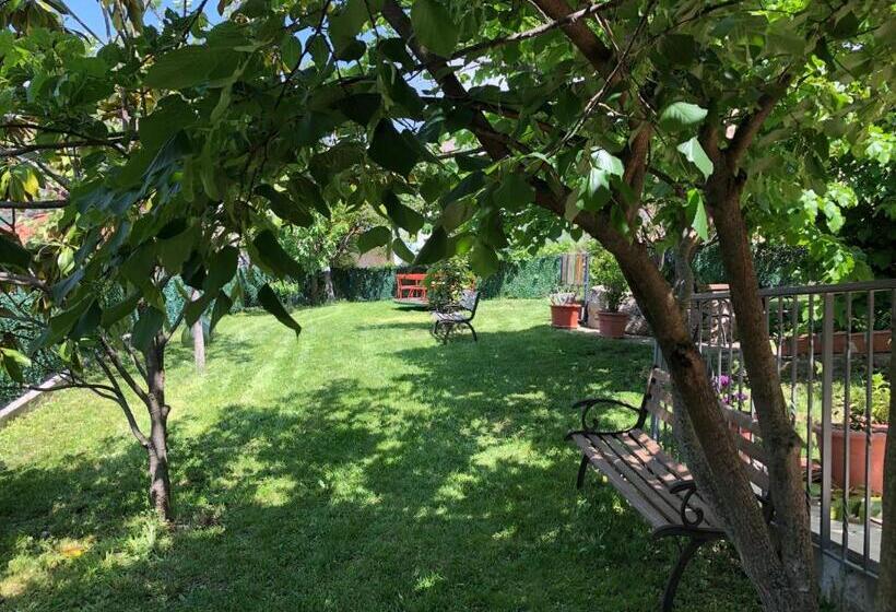 مبيت وإفطار Casa Vacanze Primula Palinuri