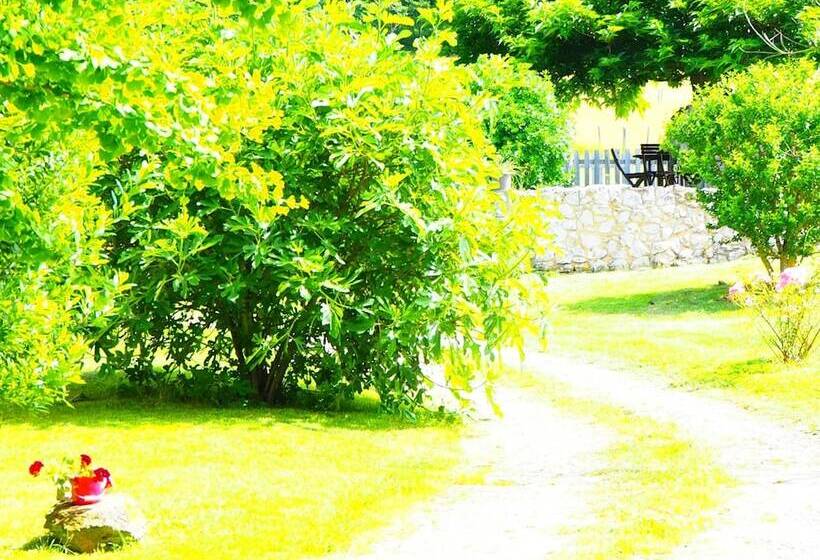 住宿加早餐  La Belle Verte