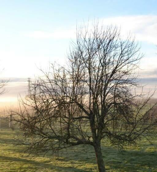 ベッドアンドブレックファースト Maison D Hôtes La Prévôté