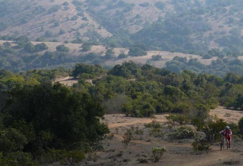 Cabañas Hostel Aquario Papudo