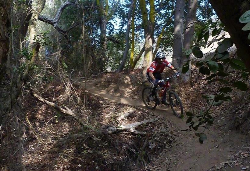 Cabañas Hostel Aquario Papudo