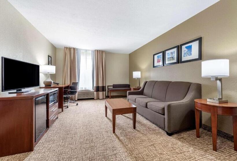호텔 Comfort Inn & Suites Cincinnati Eastgate