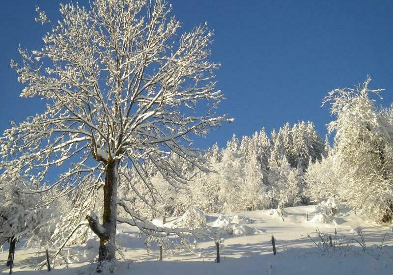 בית מלון כפרי Höhenstein