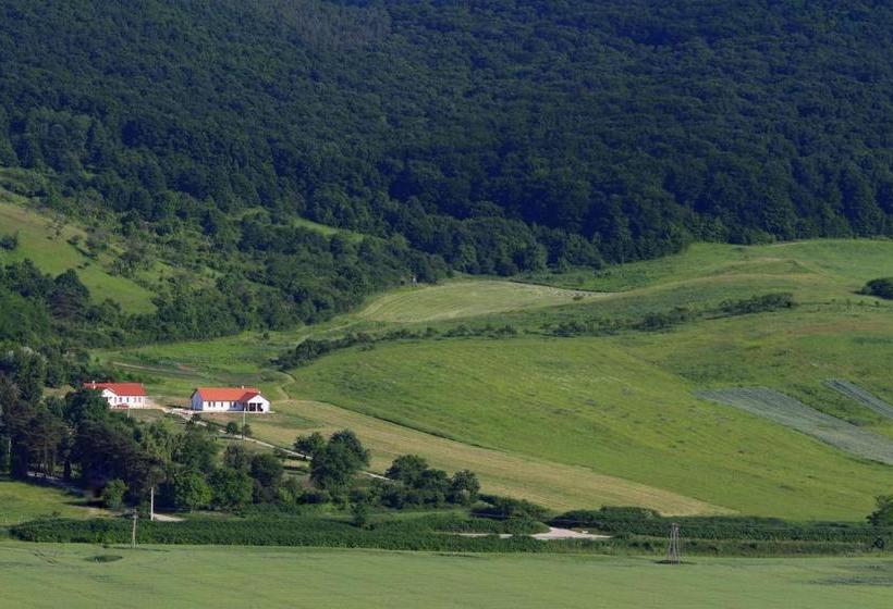 פנסיון Bánvölgye Vendégház és Rendezvényház