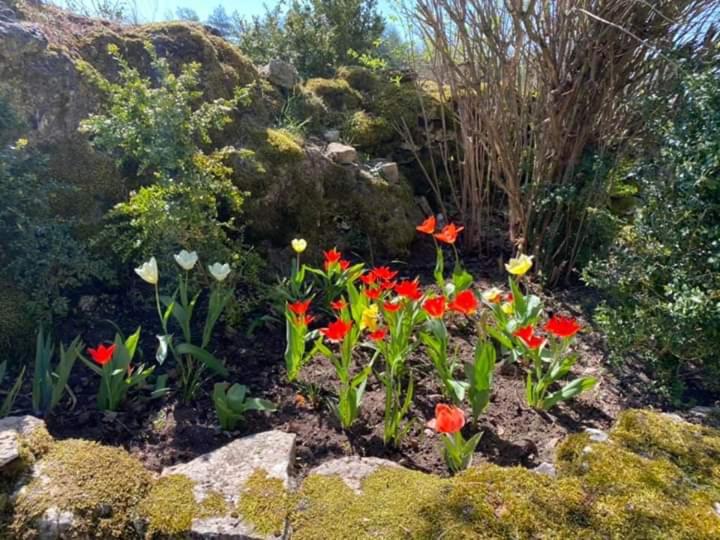 旅馆 Auberge De Cadenas