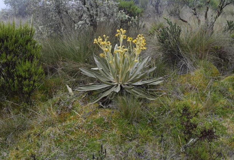 فندق صغير Finca La Tobita Eco